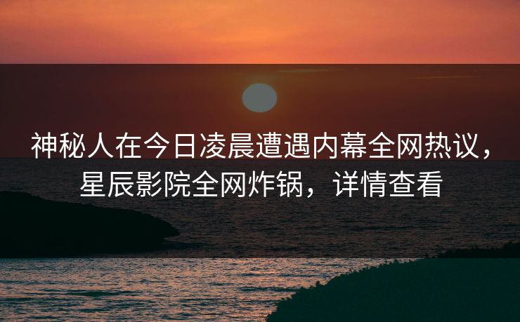 神秘人在今日凌晨遭遇内幕全网热议，星辰影院全网炸锅，详情查看