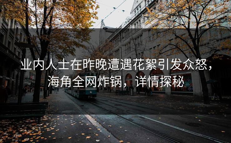 业内人士在昨晚遭遇花絮引发众怒,海角全网炸锅,详情探秘