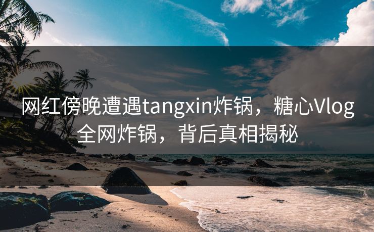 网红傍晚遭遇tangxin炸锅,糖心Vlog全网炸锅,背后真相揭秘 网红傍晚遭遇tangxin炸锅,糖心Vlog全网炸锅,背后真相揭秘